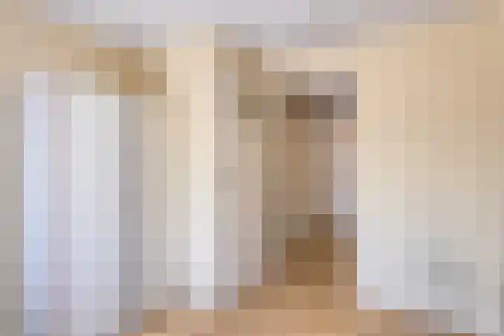 Margrietstraat 44 Mierlo thumbnail 23