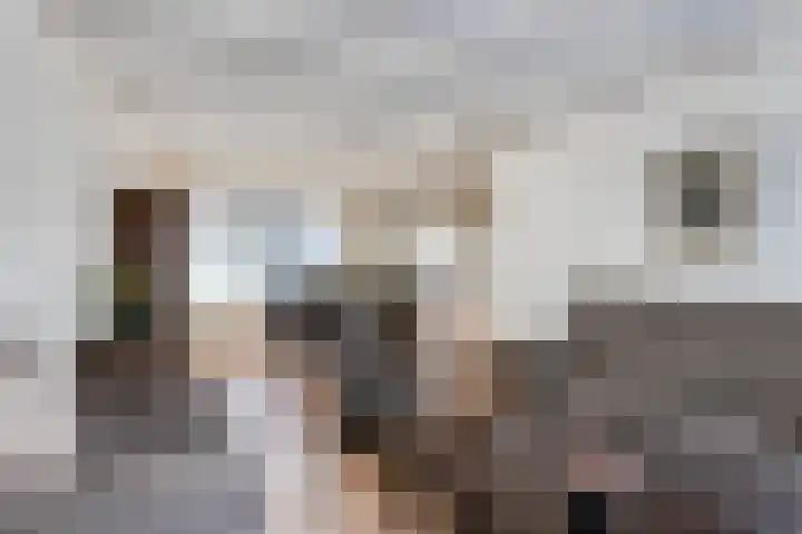 Margrietstraat 44 Mierlo thumbnail 9