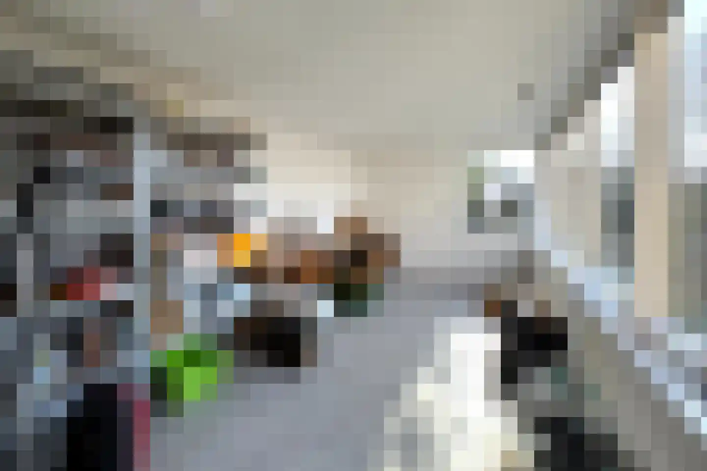 Margrietstraat 44 Puth thumbnail 25