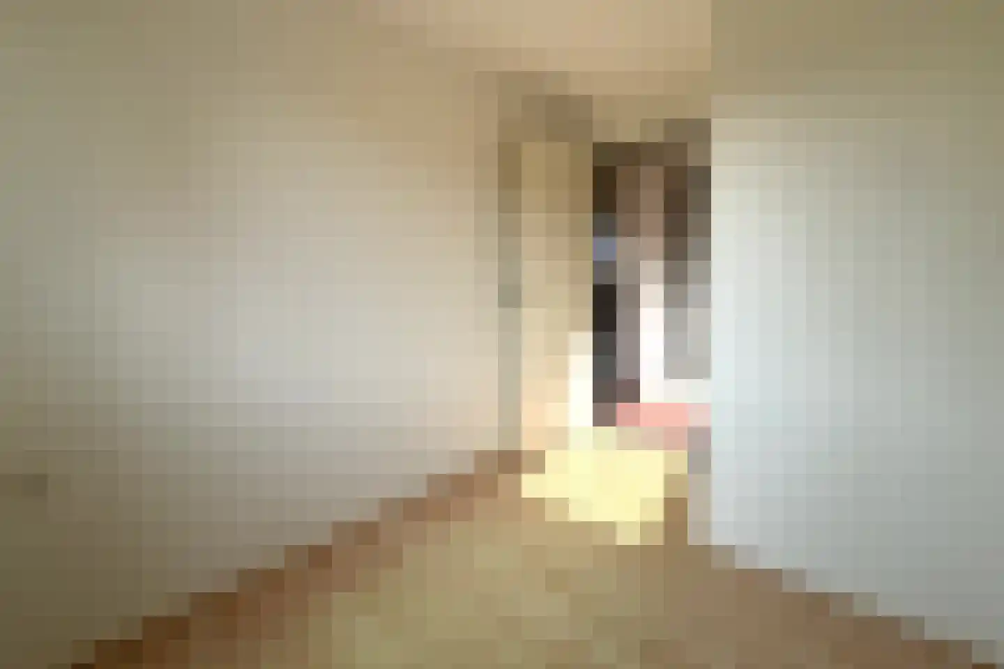 Margrietstraat 44 Puth thumbnail 40