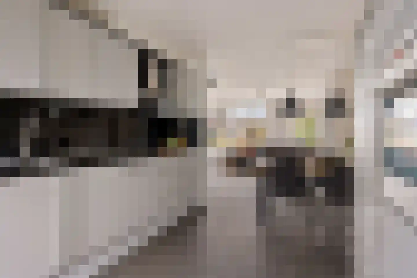 Margrietstraat 44 Zeijen thumbnail 13