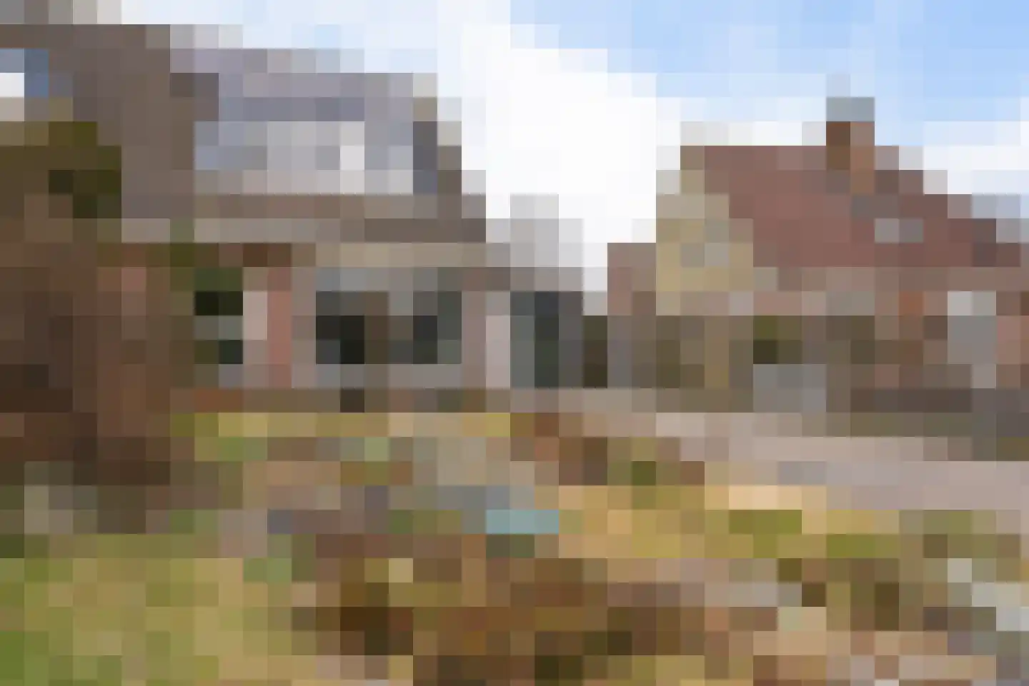 Margrietstraat 44 Zeijen thumbnail 40