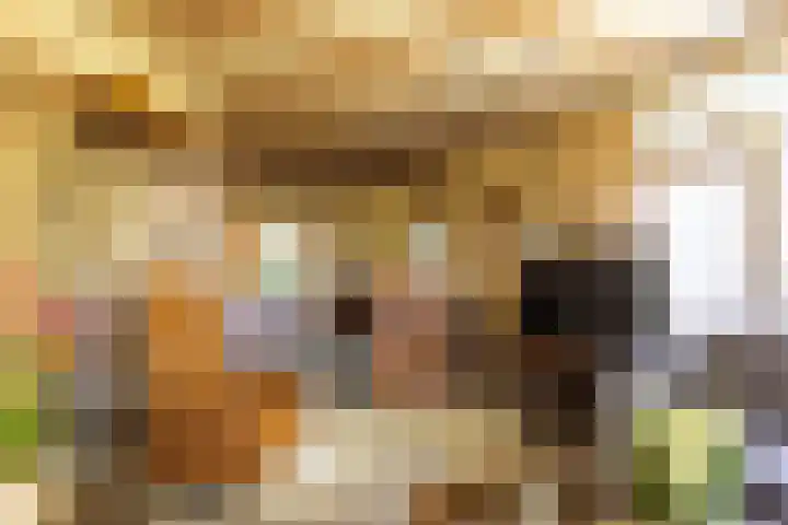 Margrietstraat 45 Bosschenhoofd thumbnail 15