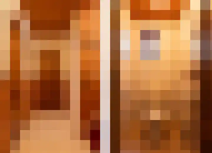 Margrietstraat 45 Bosschenhoofd thumbnail 38