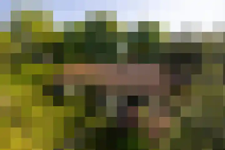 Margrietstraat 45 Bosschenhoofd thumbnail 4