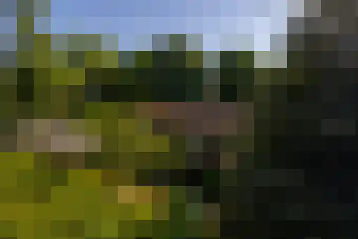 Margrietstraat 45 Bosschenhoofd thumbnail 5