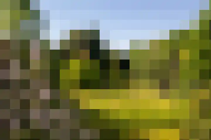 Margrietstraat 45 Bosschenhoofd thumbnail 52