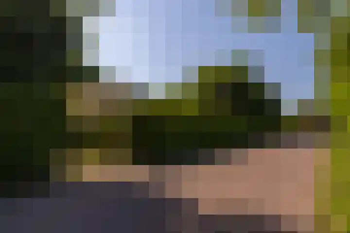 Margrietstraat 45 Bosschenhoofd thumbnail 6