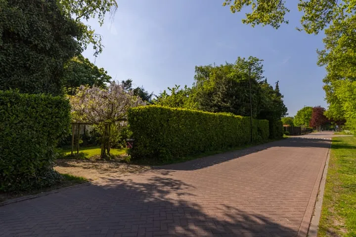 Margrietstraat 45 Bosschenhoofd thumbnail 6