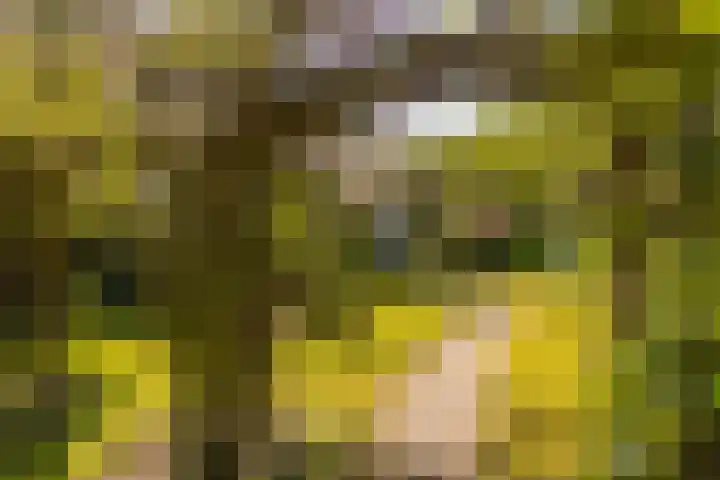Margrietstraat 45 Bosschenhoofd thumbnail 8