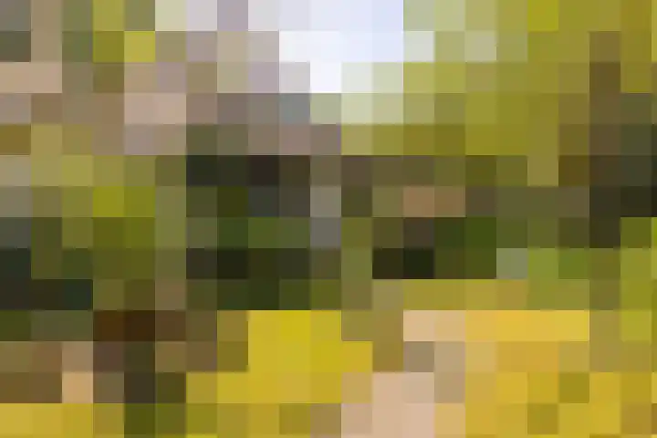 Margrietstraat 45 Bosschenhoofd thumbnail 9