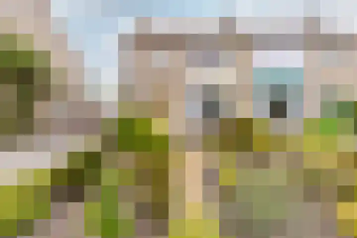 Margrietstraat 45 Oost West en Middelbeers thumbnail 4