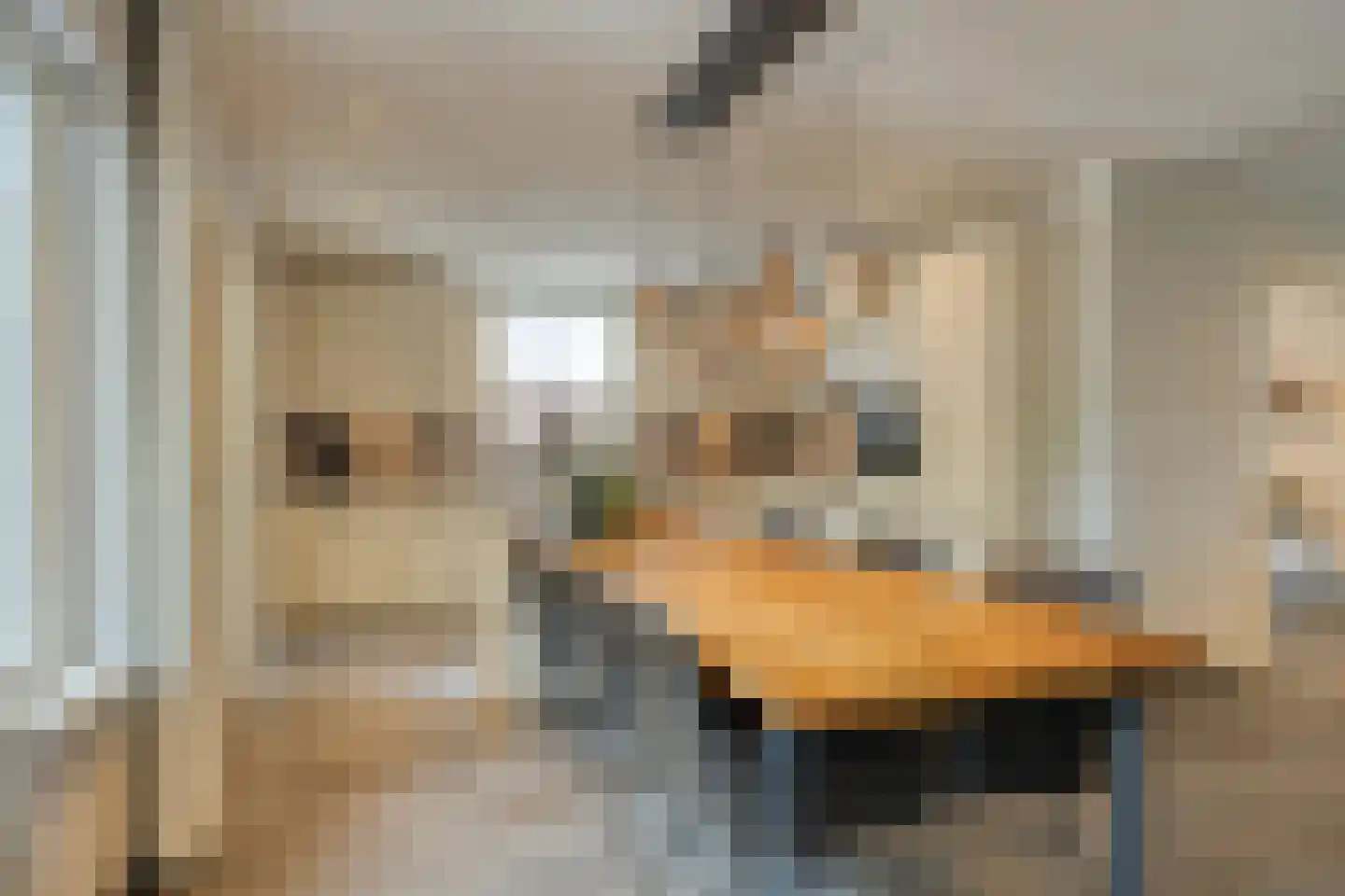 Margrietstraat 46 Sint-Oedenrode thumbnail 6