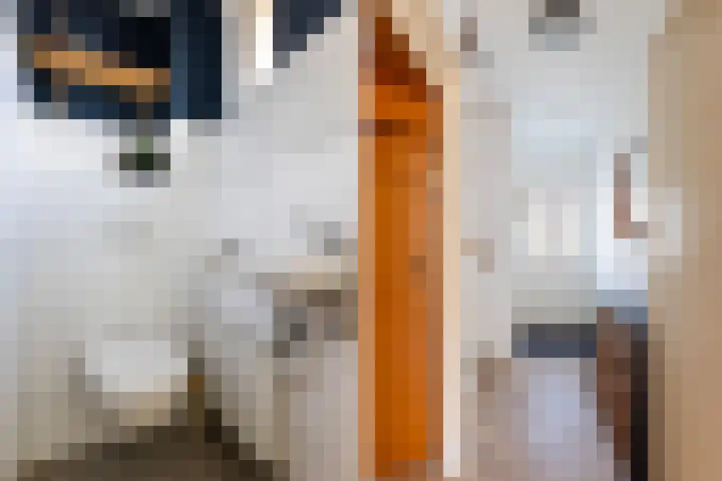 Margrietstraat 5 Numansdorp thumbnail 5