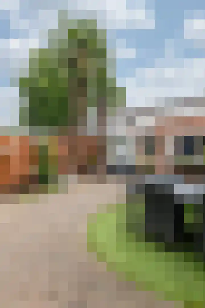 Margrietstraat 5 Rheden thumbnail 31