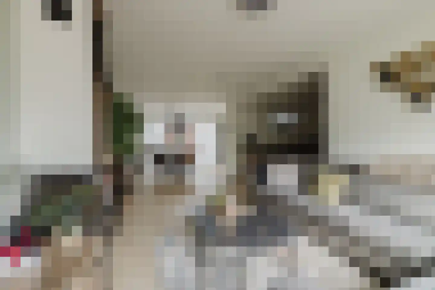 Margrietstraat 5 Rijsbergen thumbnail 14