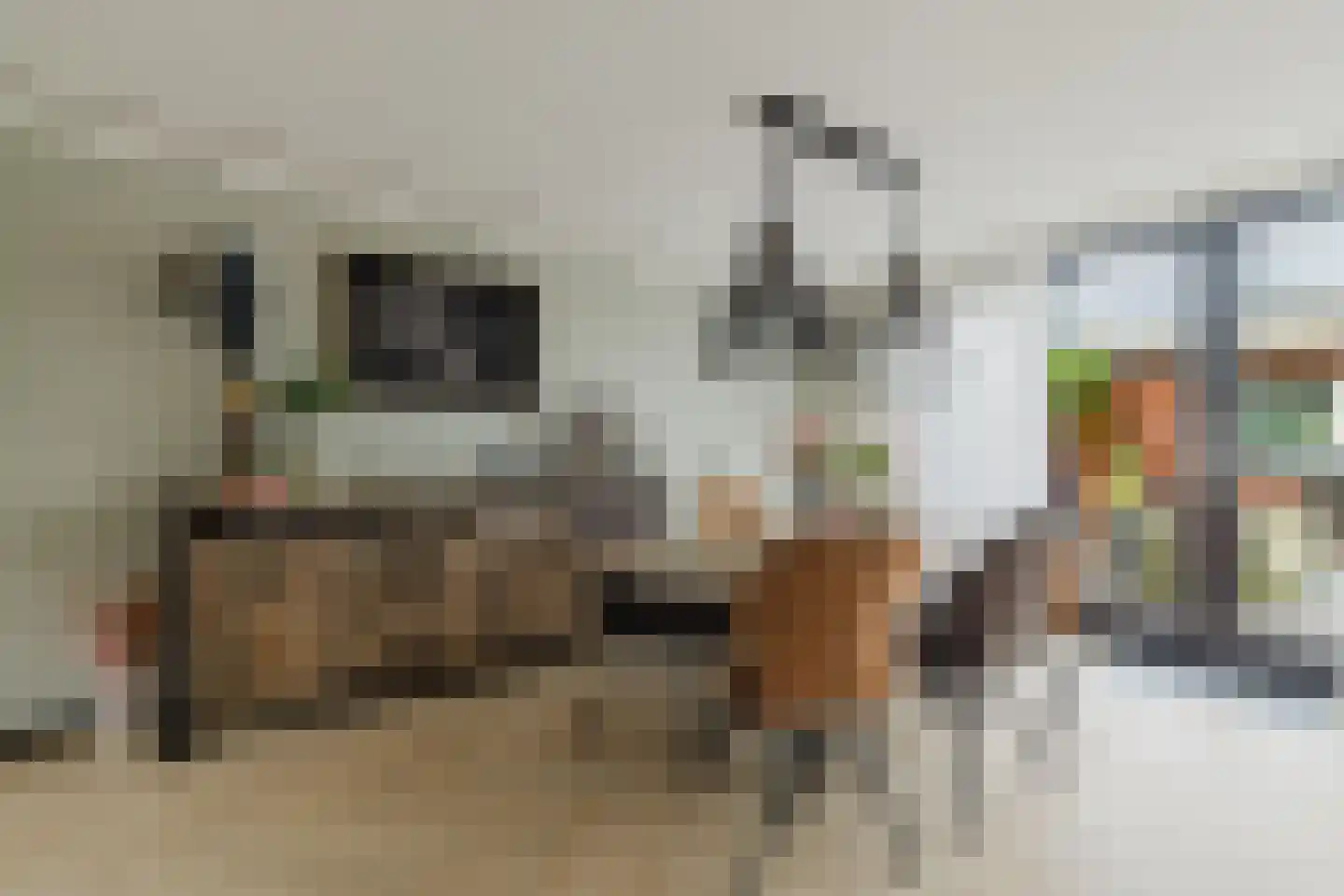 Margrietstraat 5 Rijsbergen thumbnail 16
