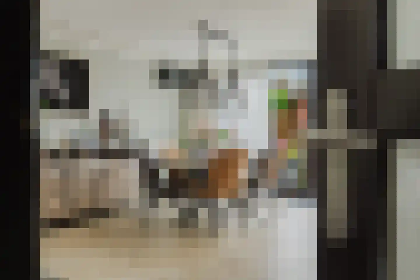 Margrietstraat 5 Rijsbergen thumbnail 20