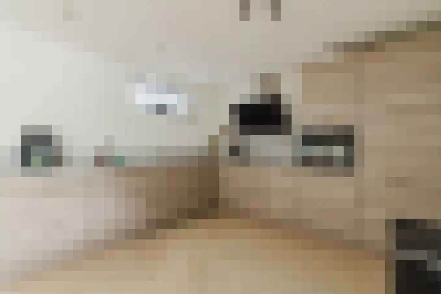 Margrietstraat 5 Rijsbergen thumbnail 23