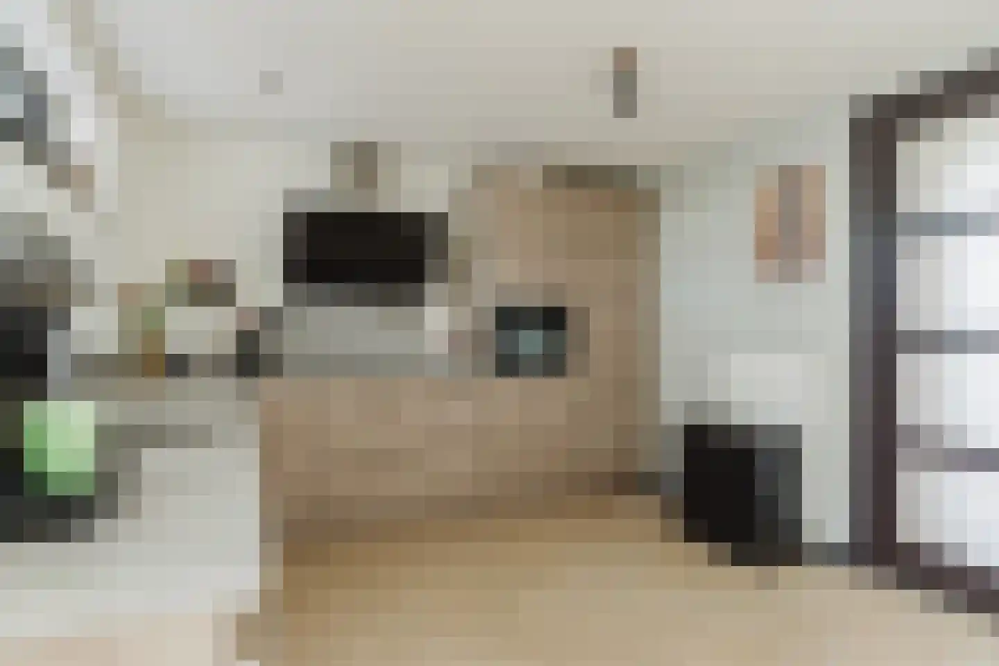 Margrietstraat 5 Rijsbergen thumbnail 4