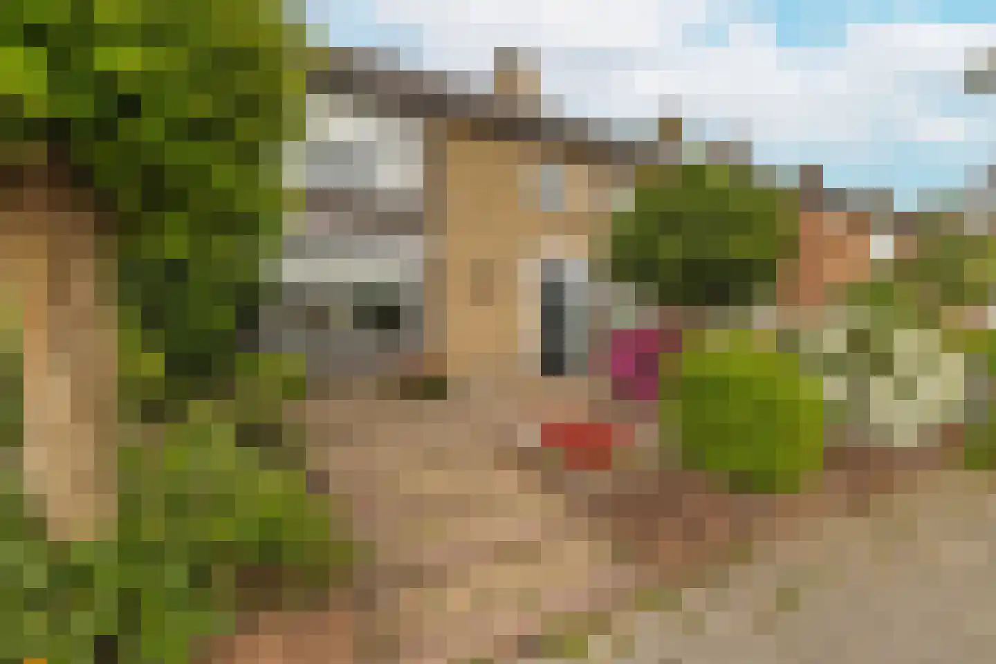 Margrietstraat 5 Rijsbergen thumbnail 52
