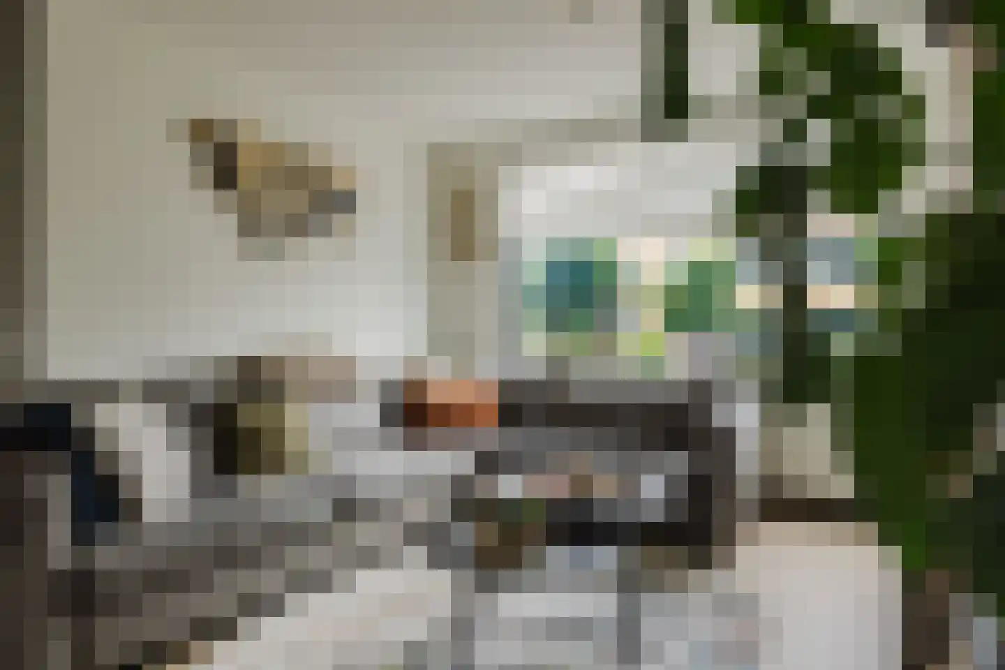 Margrietstraat 5 Rijsbergen thumbnail 8