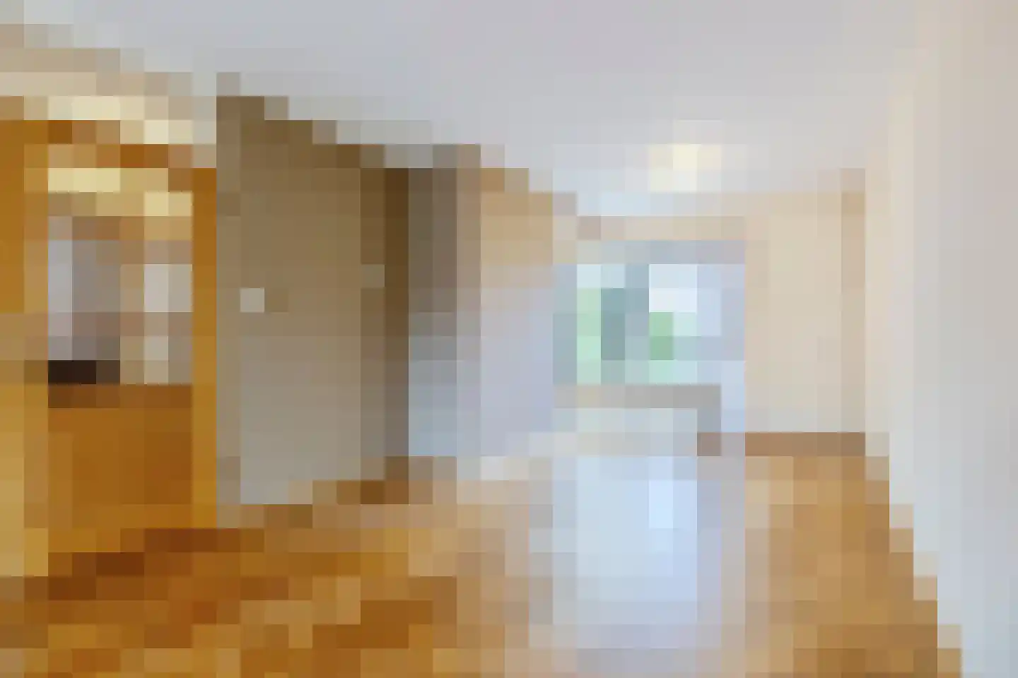 Margrietstraat 53 Rijen thumbnail 11