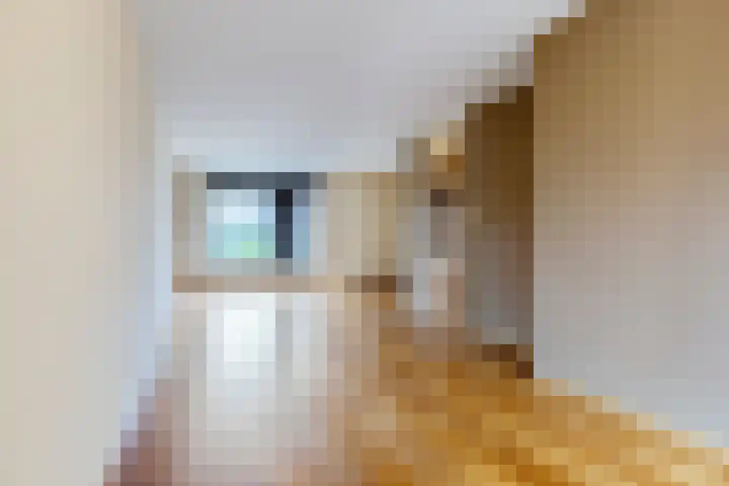 Margrietstraat 53 Rijen thumbnail 12