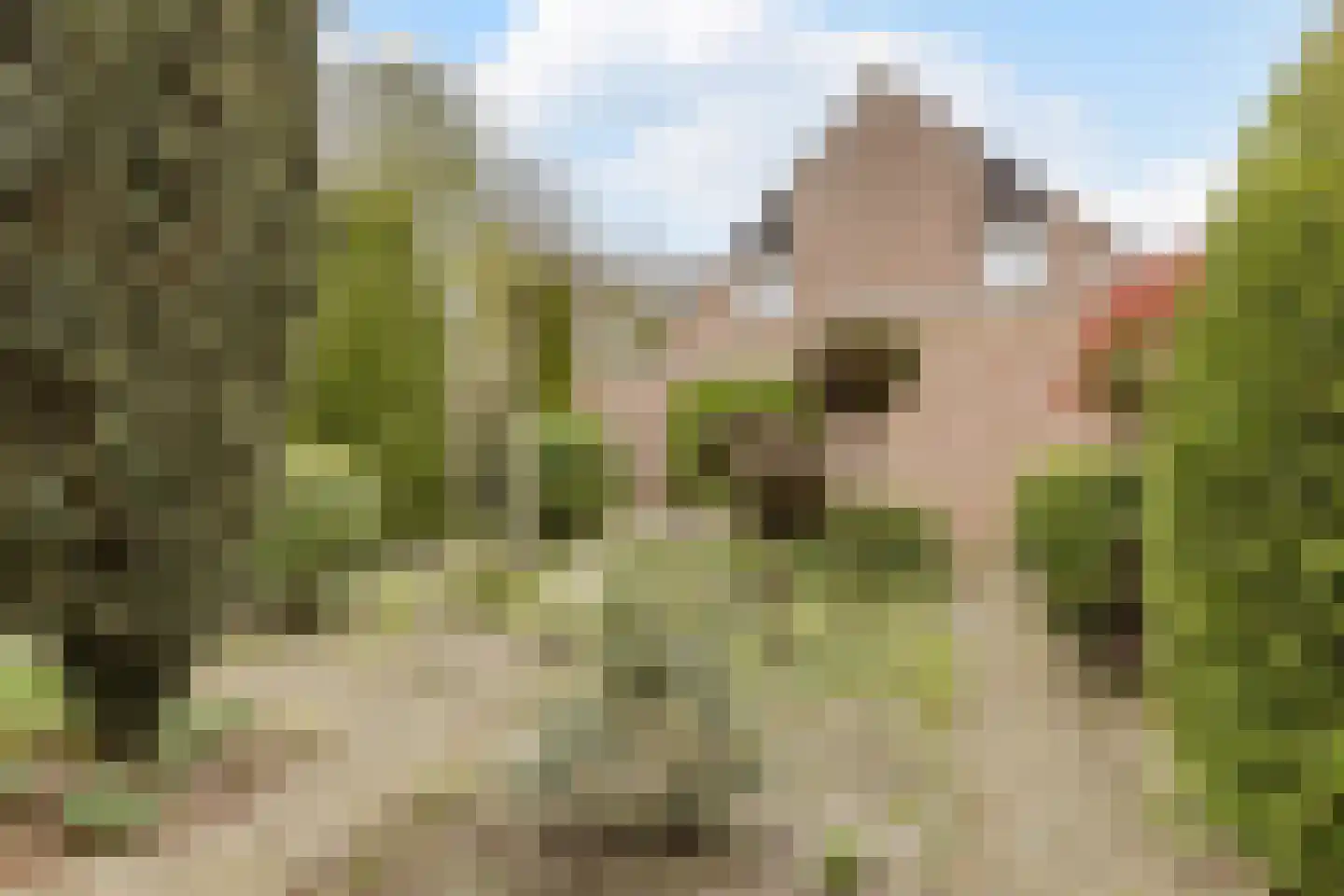 Margrietstraat 53 Rijen thumbnail 21