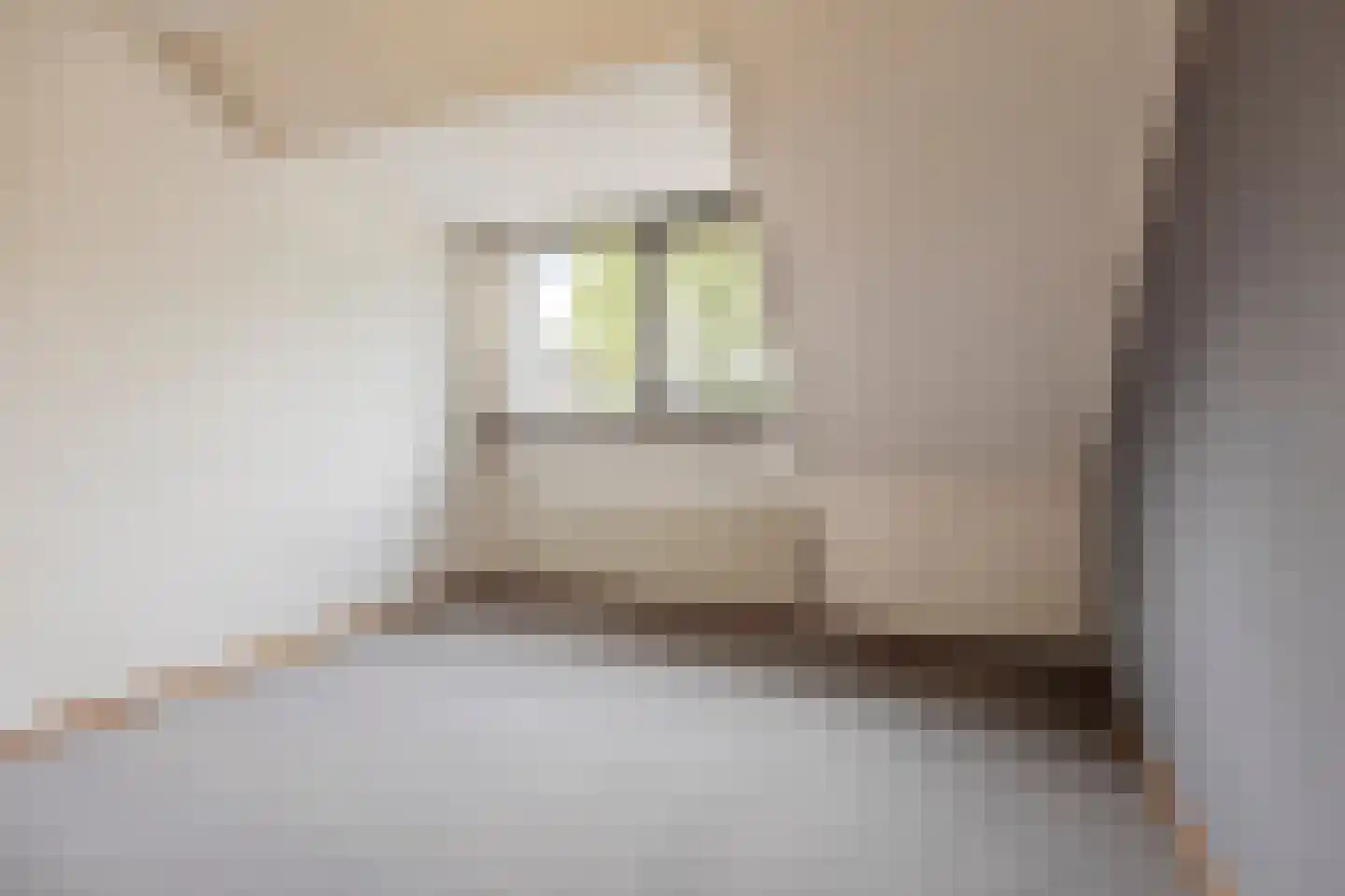 Margrietstraat 53 Rijen thumbnail 25