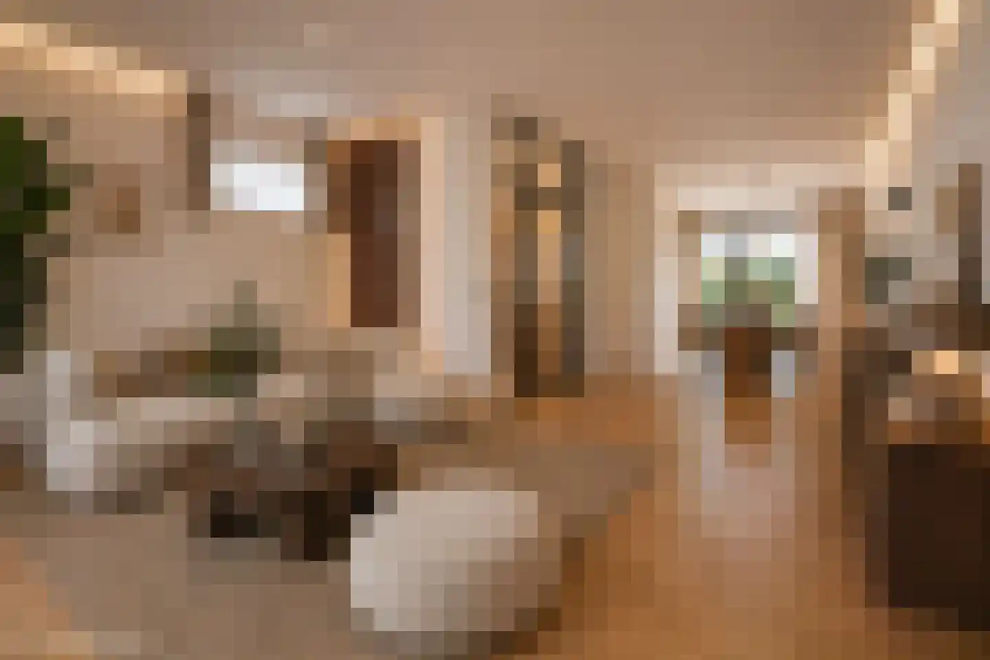 Margrietstraat 53 Rijen thumbnail 8