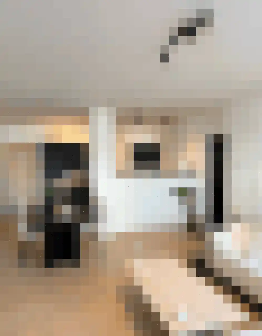 Margrietstraat 53 Uden thumbnail 11