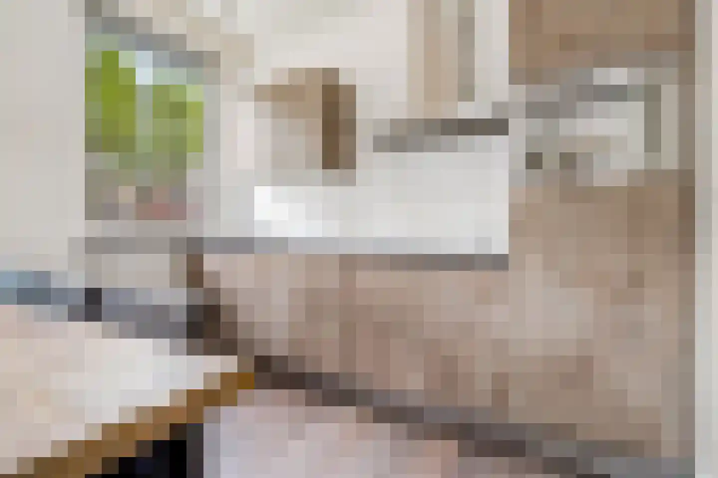 Margrietstraat 55 Uden thumbnail 27