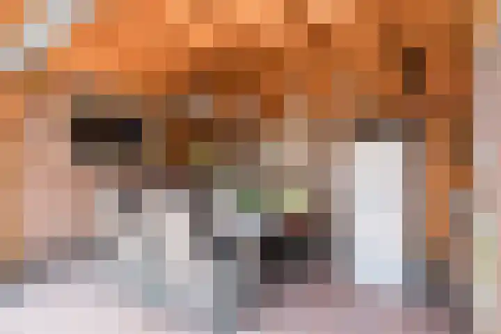 Margrietstraat 59 Rijen thumbnail 18