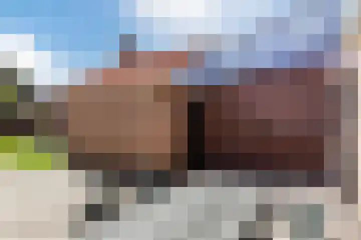 Margrietstraat 6 Montfoort thumbnail 34