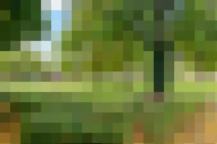Margrietstraat 6 Schinveld thumbnail 30