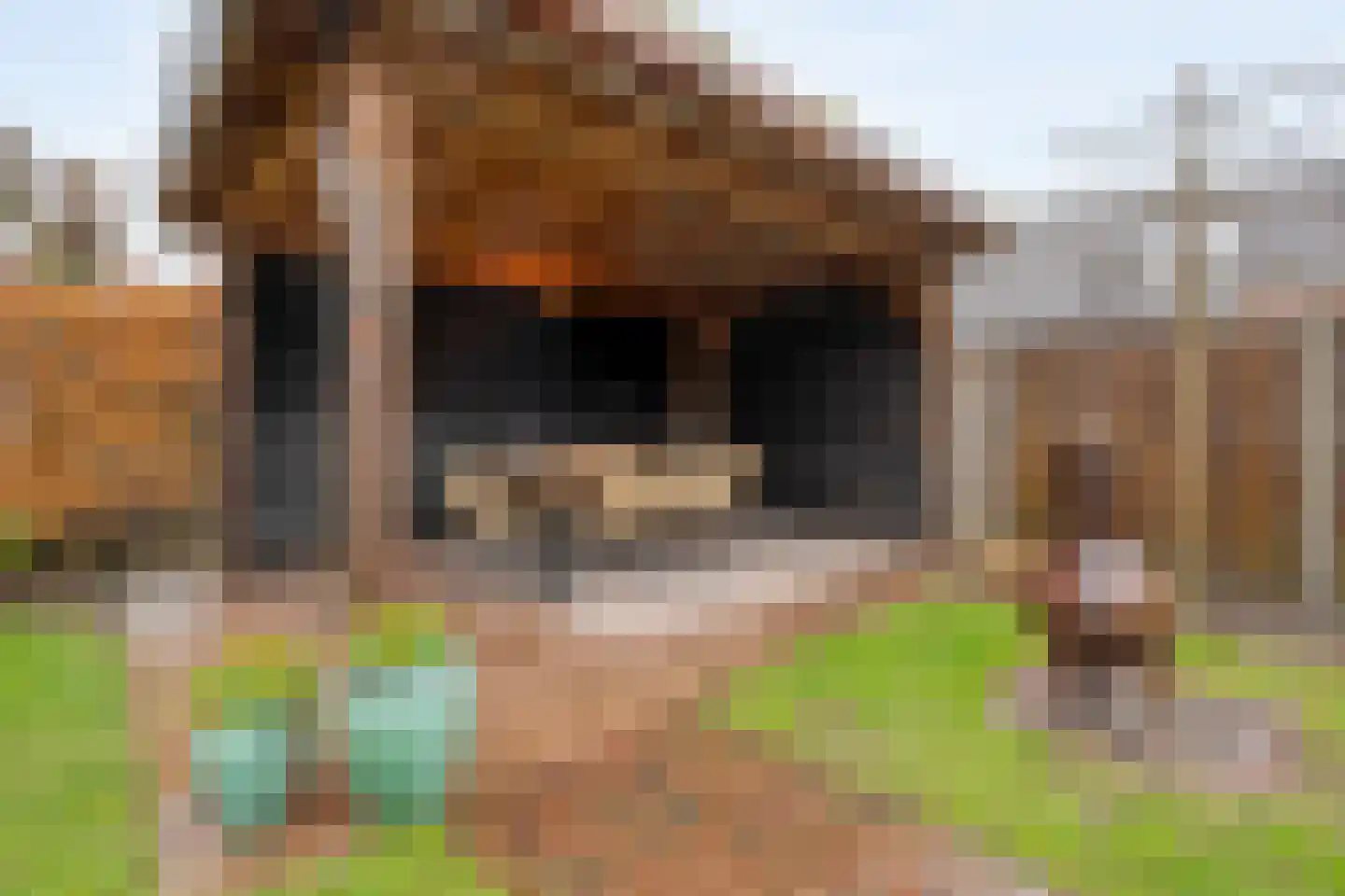Margrietstraat 6 Tubbergen thumbnail 31
