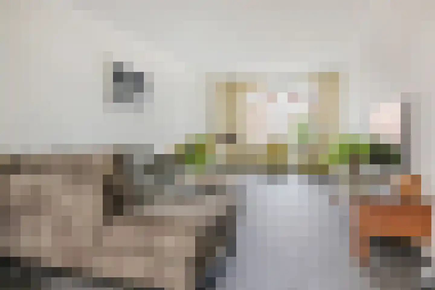 Margrietstraat 65 Landgraaf thumbnail 7