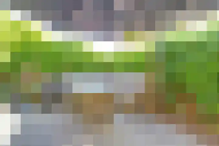 Margrietstraat 7 Baarn thumbnail 4