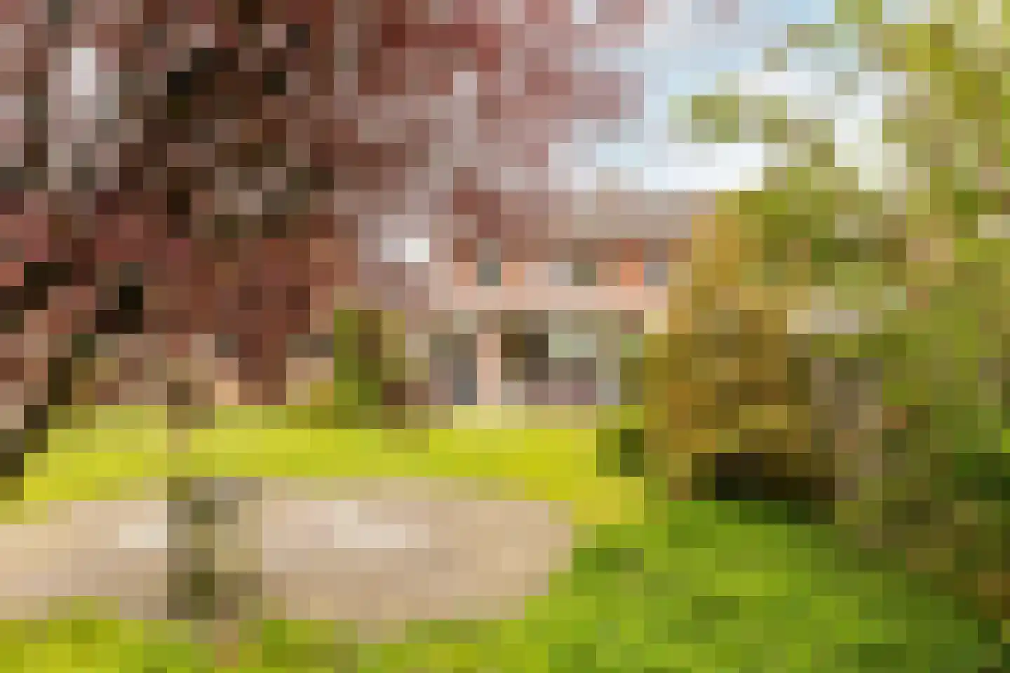 Margrietstraat 7 Oost West en Middelbeers thumbnail 35