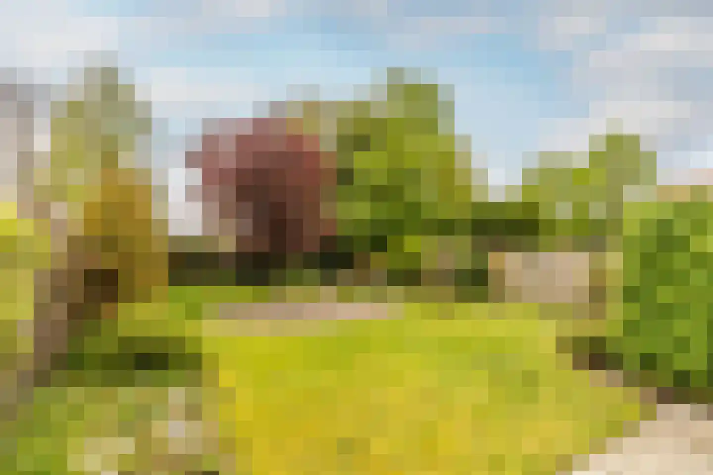 Margrietstraat 7 Oost West en Middelbeers thumbnail 4