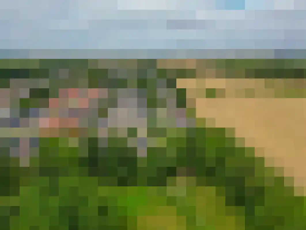 Margrietstraat 7 Oostwold thumbnail 42