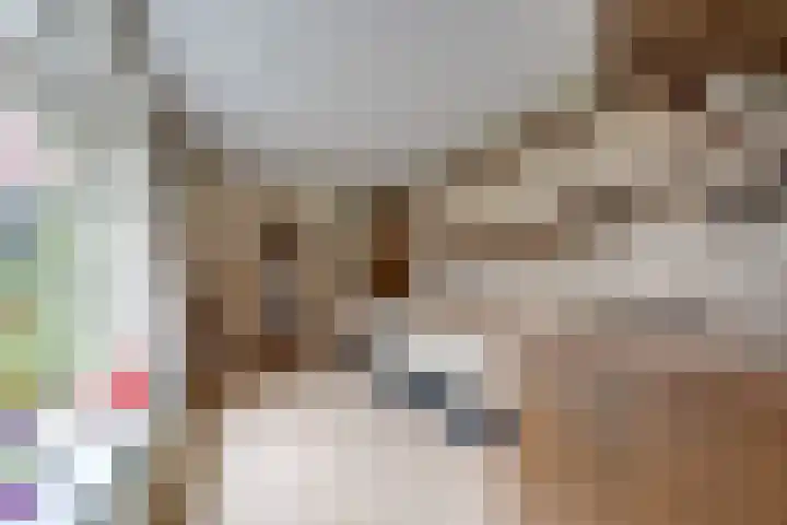 Margrietstraat 7 Rijen thumbnail 19