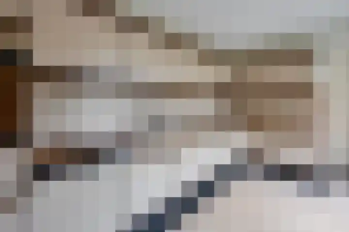 Margrietstraat 7 Rijen thumbnail 20