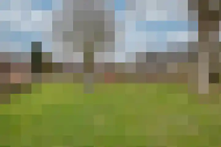 Margrietstraat 7 Rijen thumbnail 4