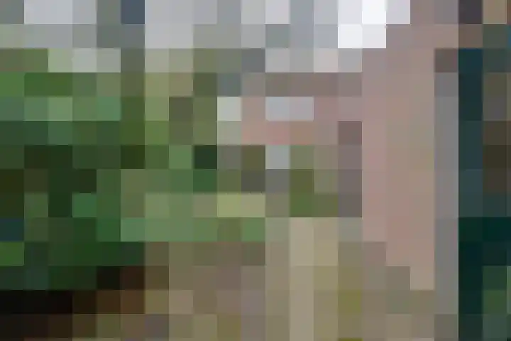 Margrietstraat 7 Rijen thumbnail 45