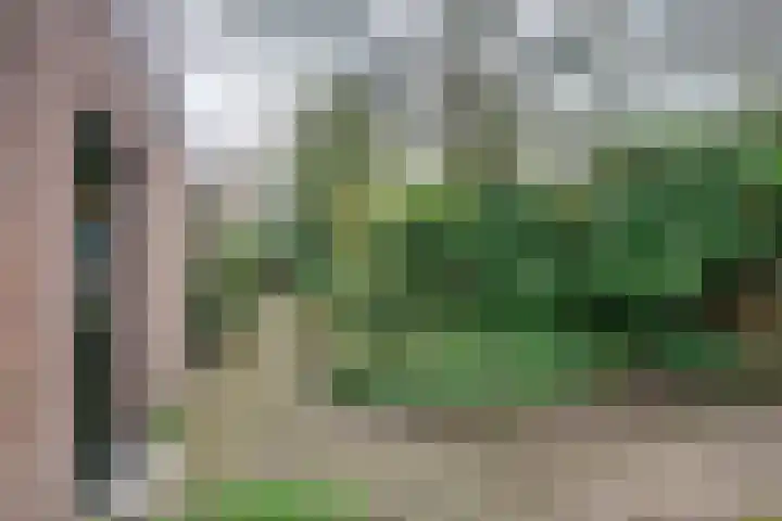 Margrietstraat 7 Rijen thumbnail 48