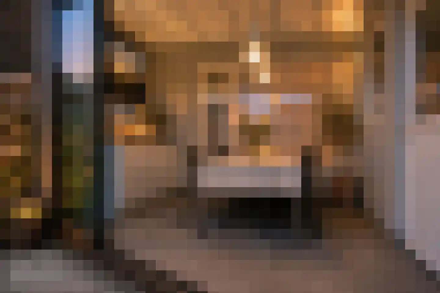 Margrietstraat 7 Sprang-Capelle thumbnail 26