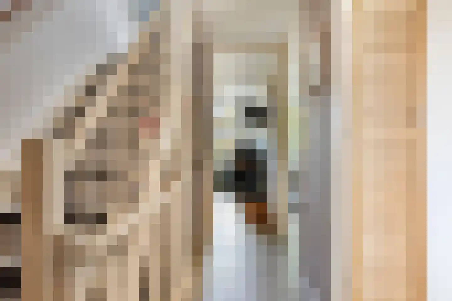 Margrietstraat 7 Zonnemaire thumbnail 24