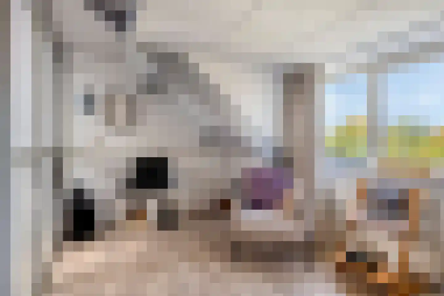 Margrietstraat 7 Zonnemaire thumbnail 36